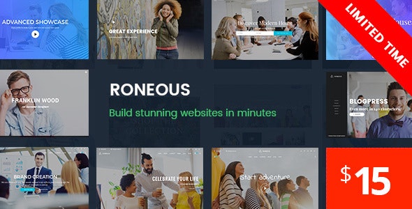 Roneous Theme GPL - Creative Multi-Purpose WordPress Websites