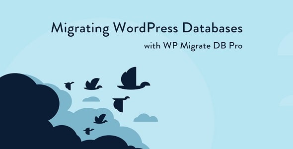 WP Migrate DB Pro GPL - WordPress Site Migration Plugin